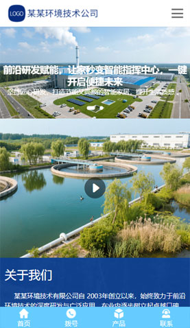 某某環(huán)境技術(shù)有限公司 2458